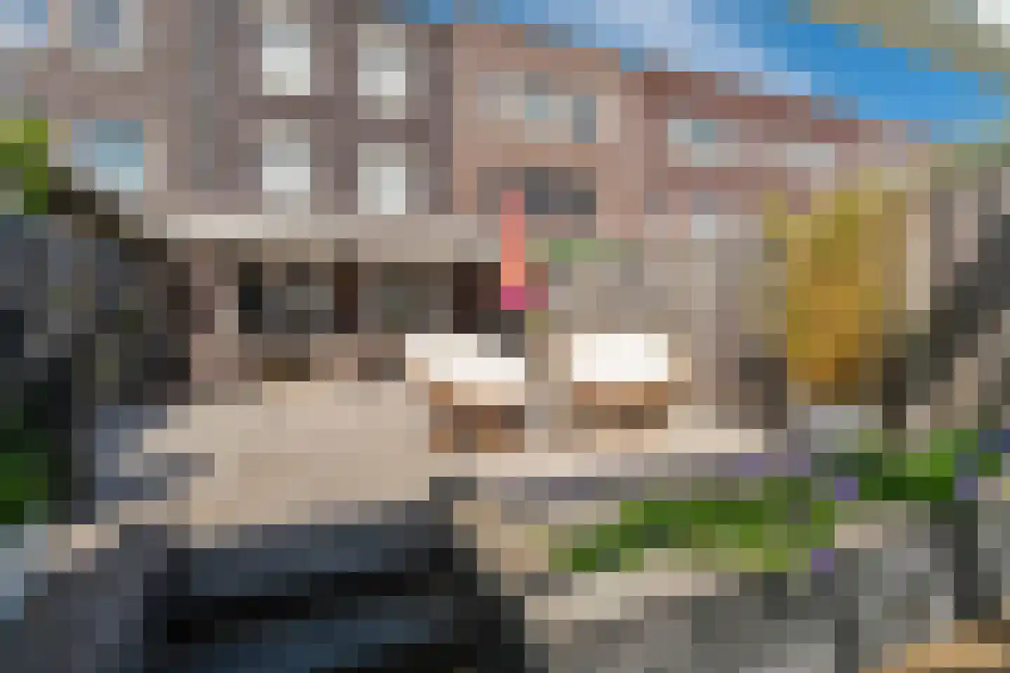 Bankijkerweg 167 Rijnsburg thumbnail 36