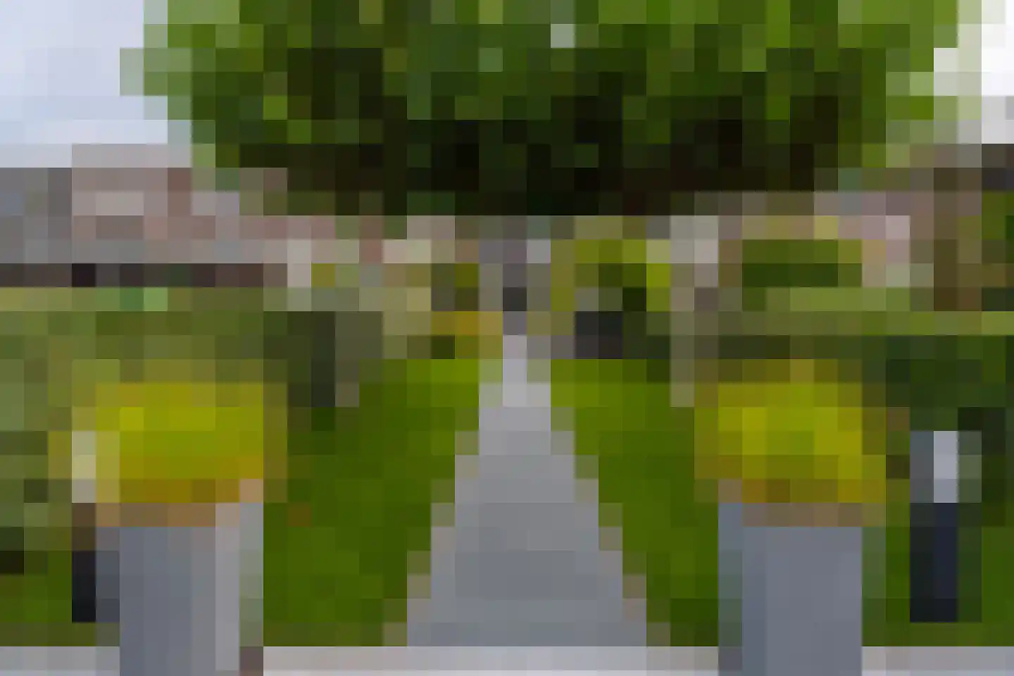 Bankijkerweg 177 Rijnsburg thumbnail 44