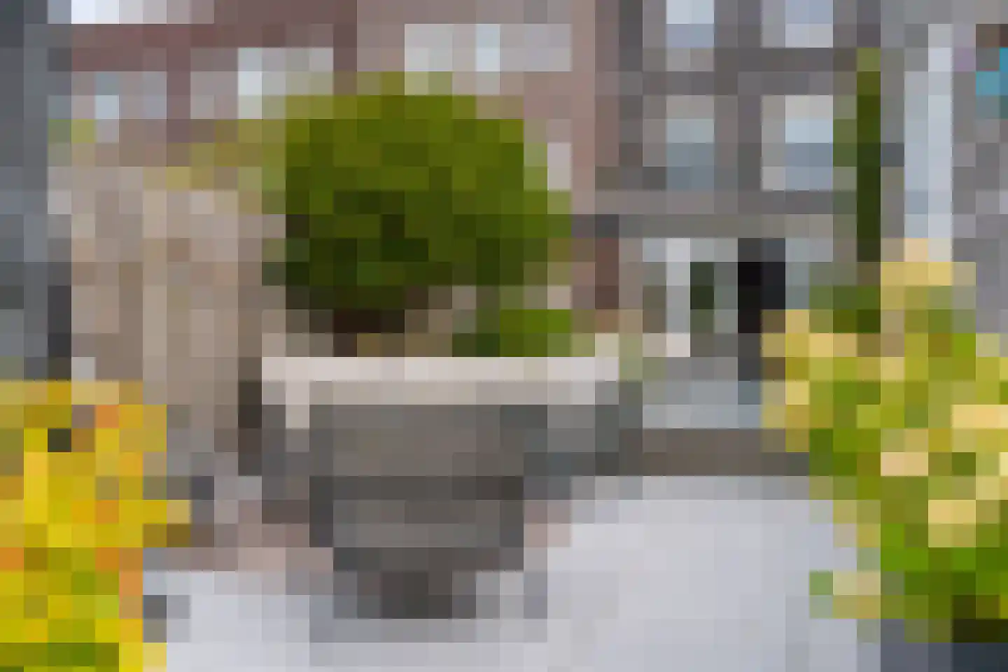 Bankijkerweg 177 Rijnsburg thumbnail 45