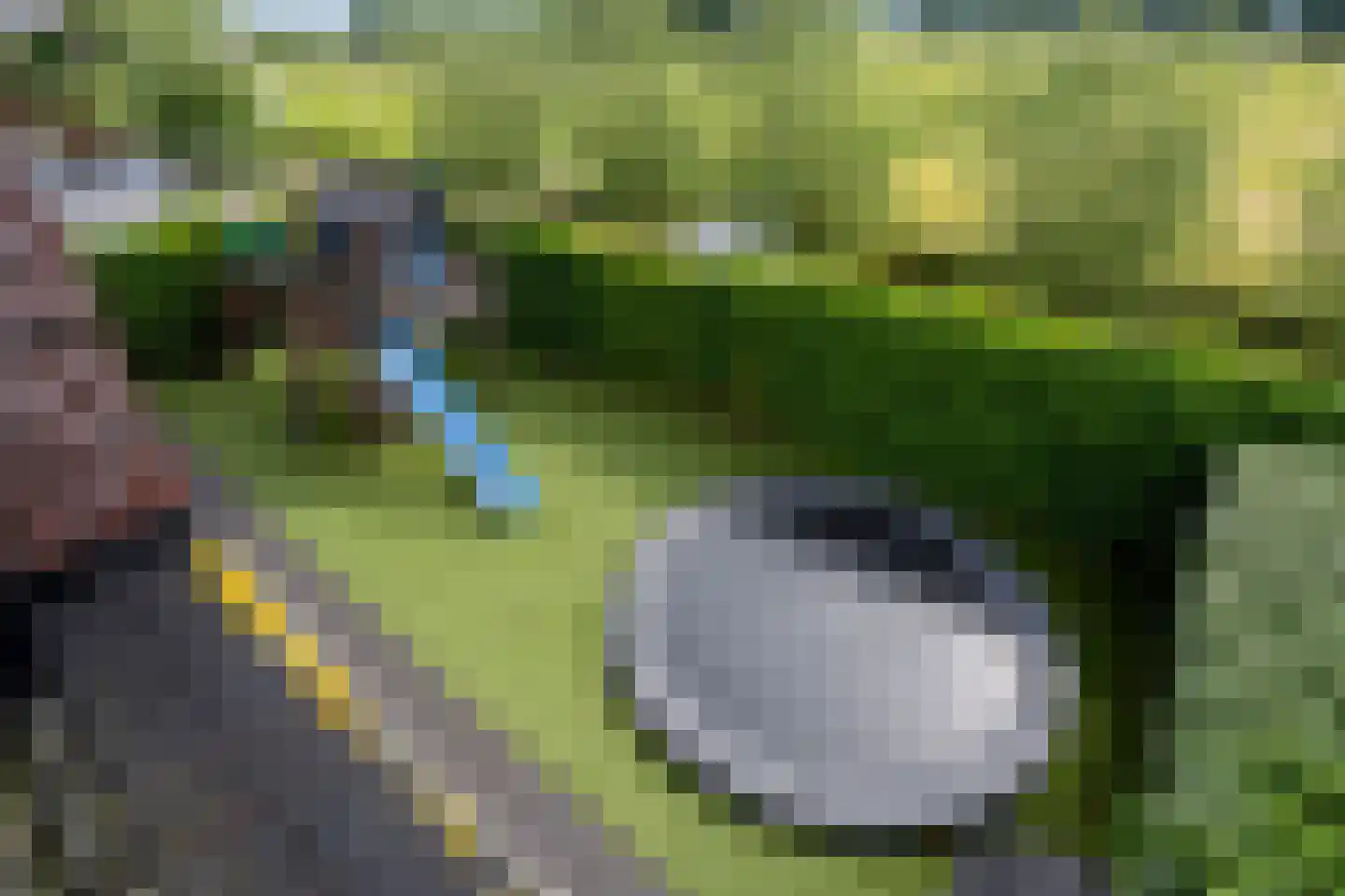 Bankijkerweg 241 Rijnsburg thumbnail 30