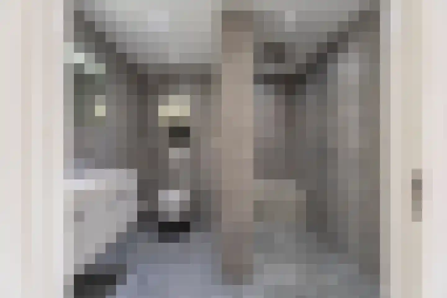 Bankijkerweg 241 Rijnsburg thumbnail 36