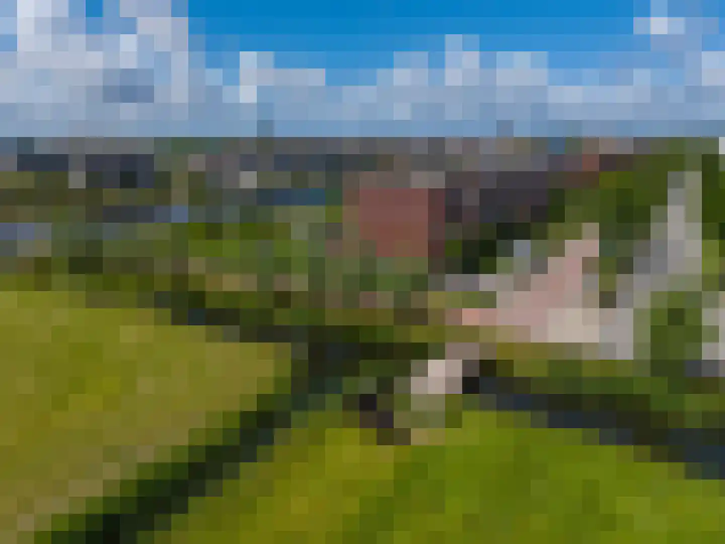 Bankijkerweg 241 Rijnsburg thumbnail 4