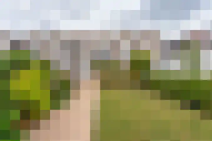 Bankijkerweg 83 Rijnsburg thumbnail 34