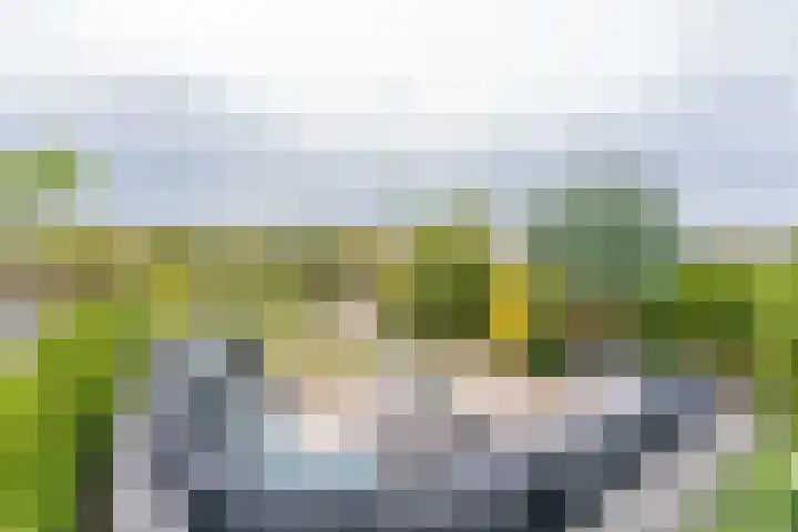 Bankijkerweg 83 Rijnsburg thumbnail 35