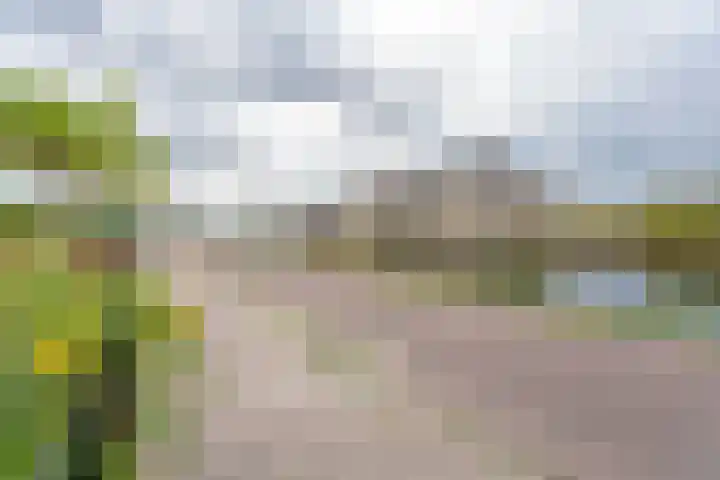 Bankijkerweg 83 Rijnsburg thumbnail 37