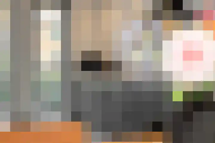 Bankirai 27 Rosmalen thumbnail 14
