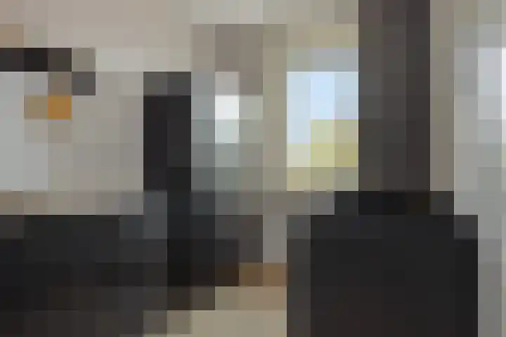 Bankirai 27 Rosmalen thumbnail 17