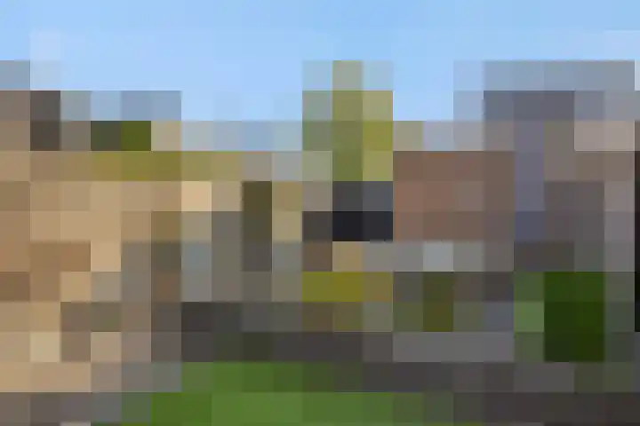 Bankirai 27 Rosmalen thumbnail 5