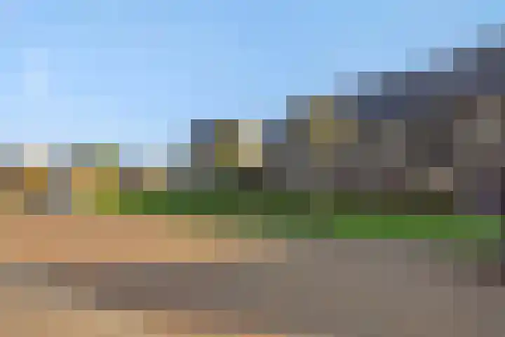 Bankirai 27 Rosmalen thumbnail 6