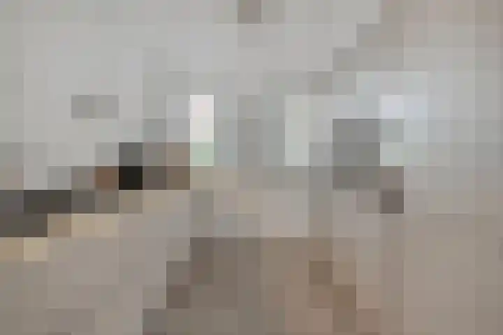 Bankirai 3 Rosmalen thumbnail 15