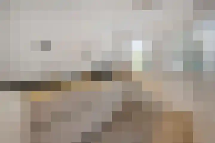 Bankirai 3 Rosmalen thumbnail 17