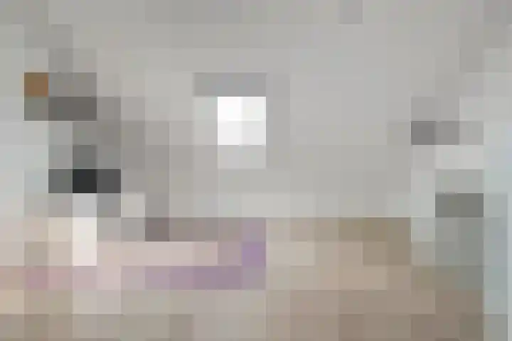 Bankirai 3 Rosmalen thumbnail 30