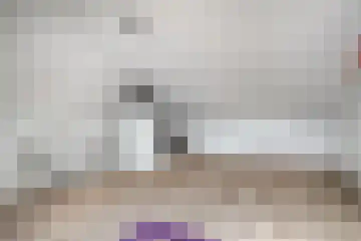 Bankirai 3 Rosmalen thumbnail 31