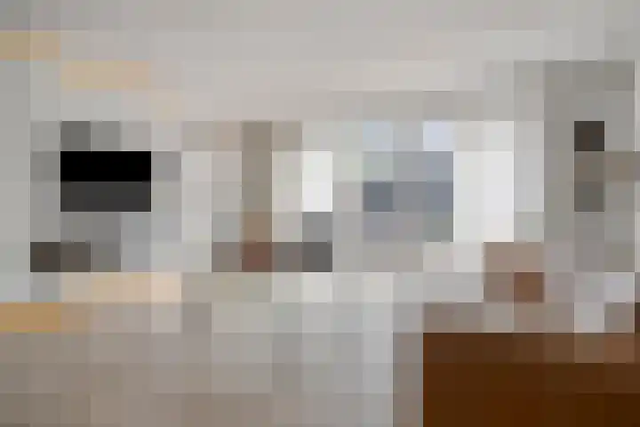 Bankirai 3 Rosmalen thumbnail 7