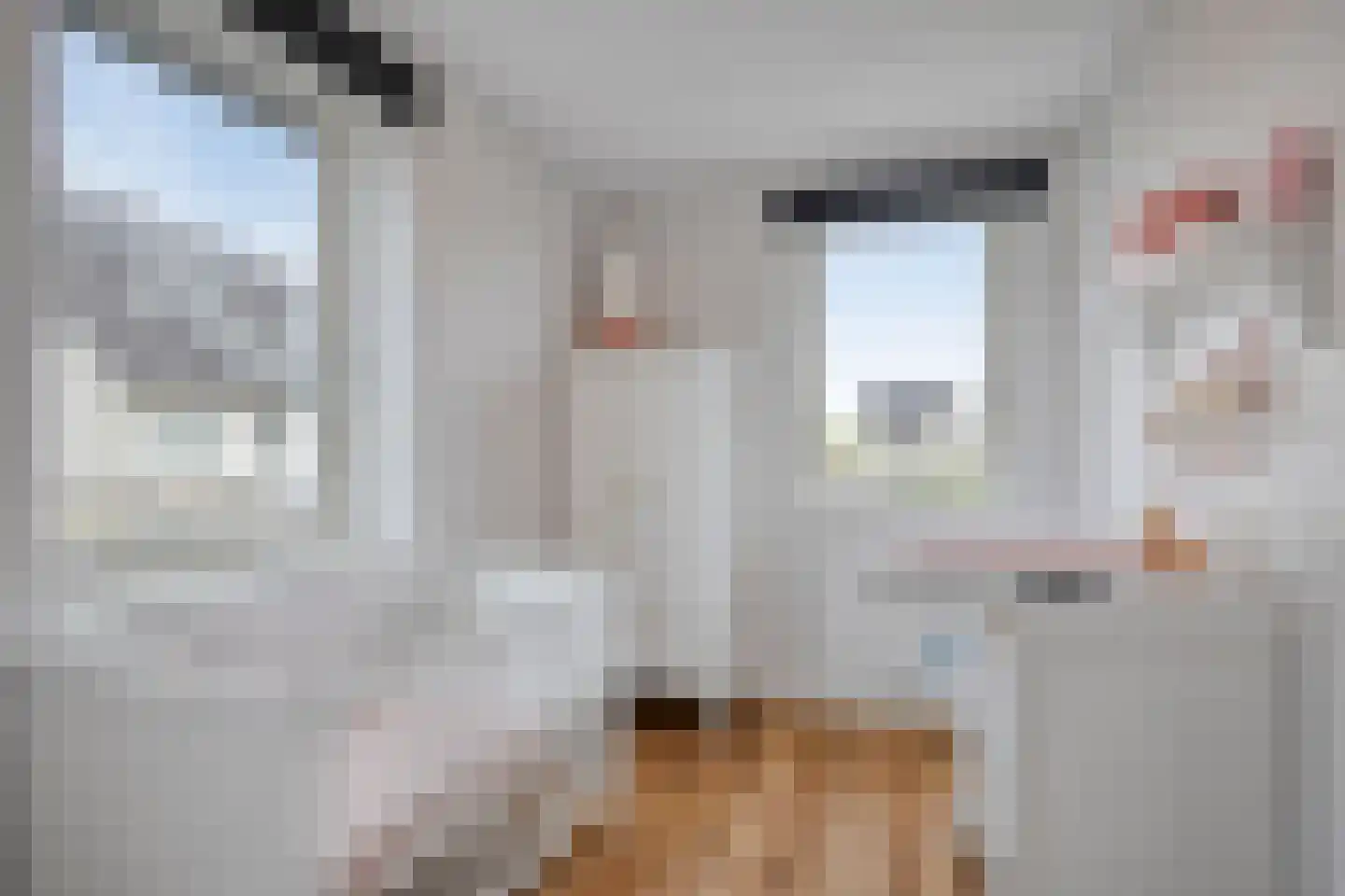 Bankirai 31 Rosmalen thumbnail 20