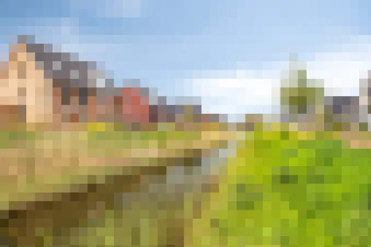 Bankirai 31 Rosmalen thumbnail 37