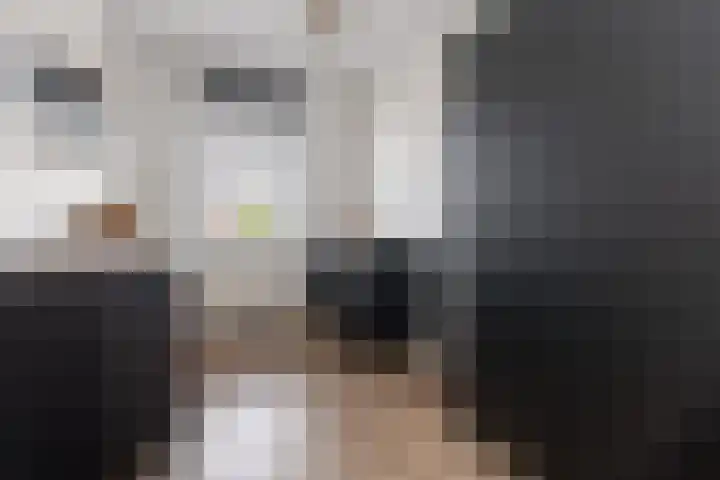Bankivalaan 31 Barneveld thumbnail 21