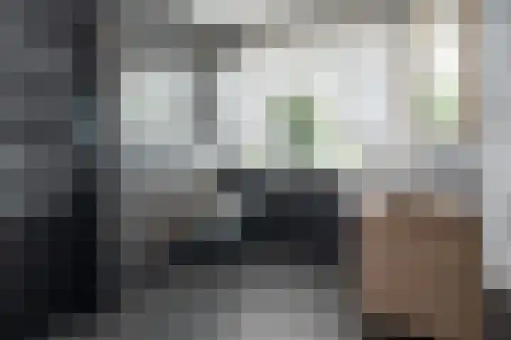 Bankivalaan 31 Barneveld thumbnail 23