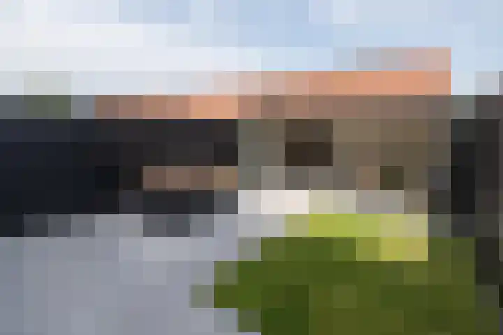 Bankivalaan 31 Barneveld thumbnail 34