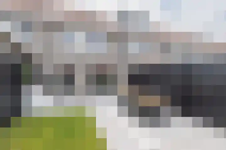 Bankivalaan 31 Barneveld thumbnail 35