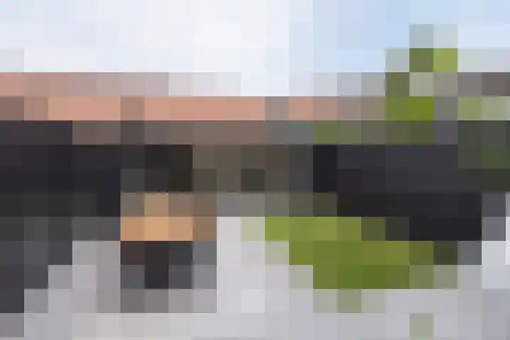 Bankivalaan 31 Barneveld thumbnail 36