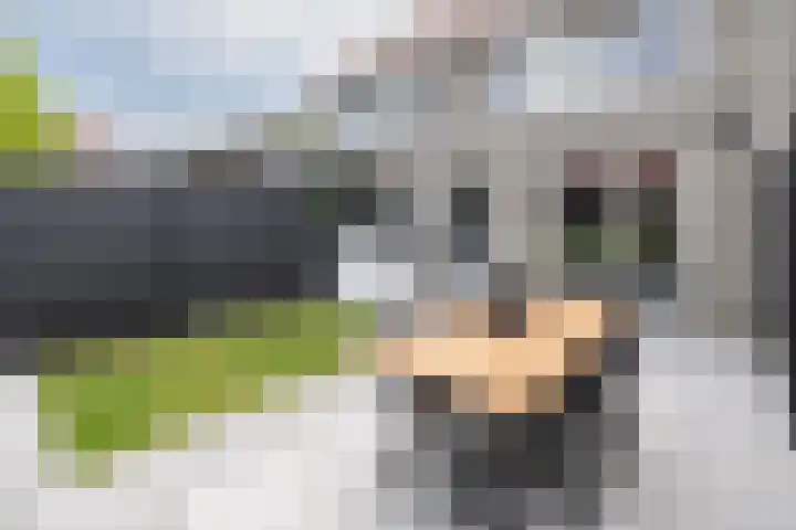 Bankivalaan 31 Barneveld thumbnail 37