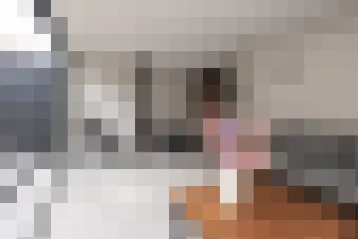 Bankivalaan 31 Barneveld thumbnail 39