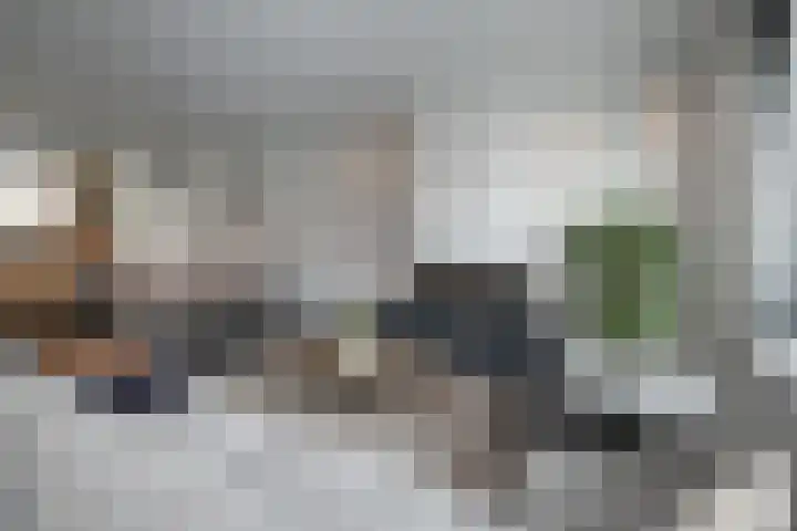 Bankivalaan 31 Barneveld thumbnail 4