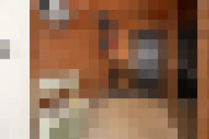 Bankivalaan 31 Barneveld thumbnail 41