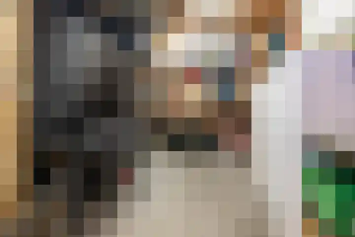 Bankivalaan 31 Barneveld thumbnail 42