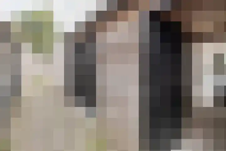 Bankivalaan 31 Barneveld thumbnail 43