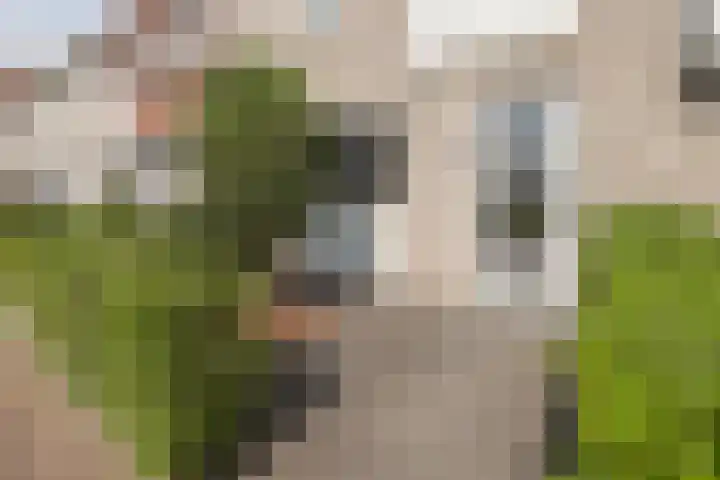 Bankivalaan 31 Barneveld thumbnail 44