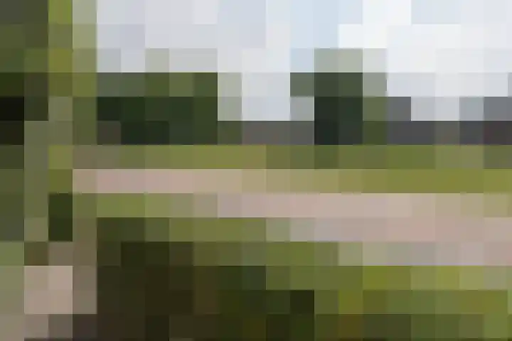 Bankivalaan 31 Barneveld thumbnail 45