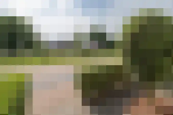 Bankivalaan 31 Barneveld thumbnail 46