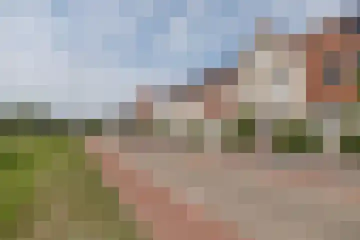 Bankivalaan 31 Barneveld thumbnail 48