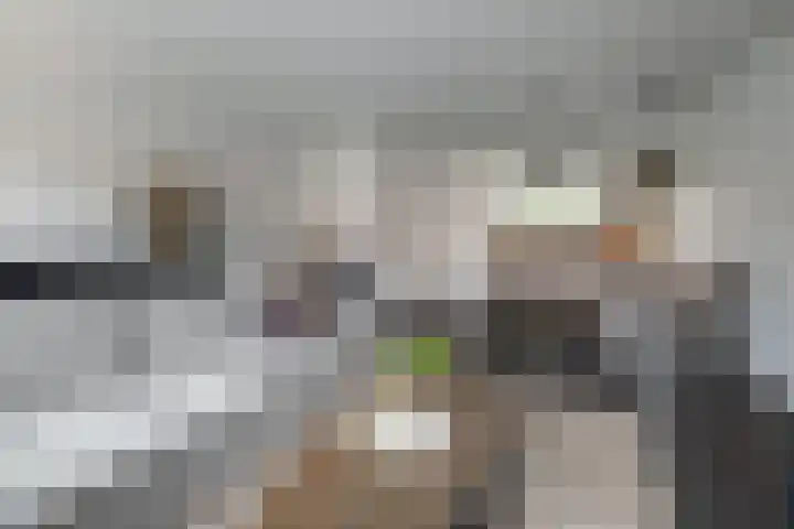 Bankivalaan 31 Barneveld thumbnail 5