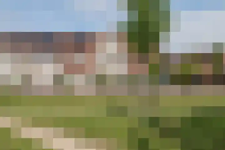 Bankivalaan 31 Barneveld thumbnail 50