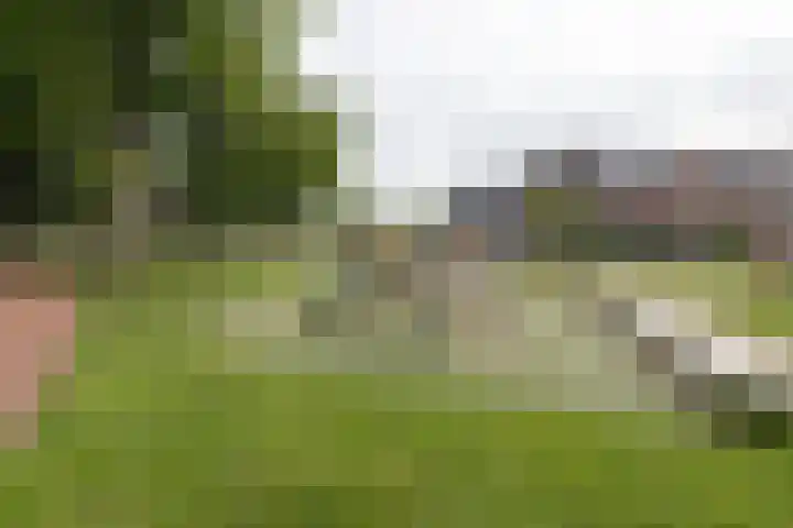 Bankivalaan 31 Barneveld thumbnail 51