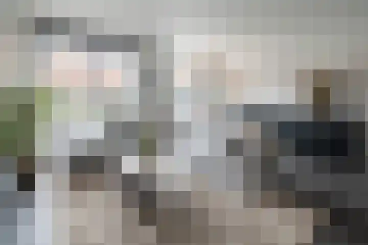 Bankivalaan 31 Barneveld thumbnail 6