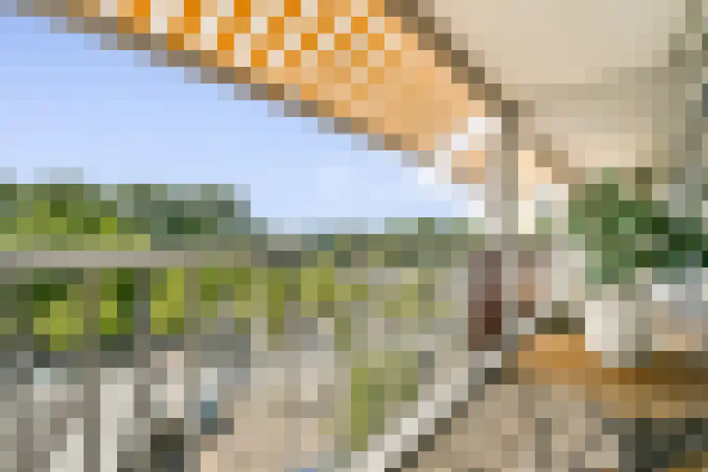 Bankrashof 110 Amstelveen thumbnail 13