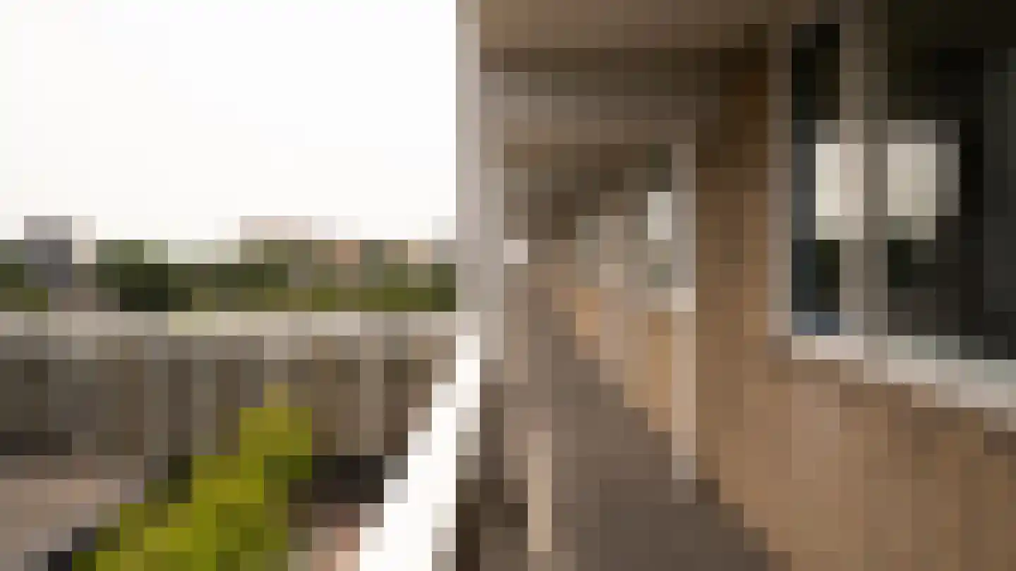 Bankrashof 124 Amstelveen thumbnail 42