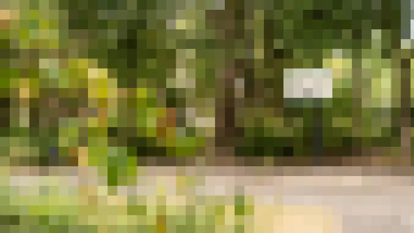 Bankrashof 124 Amstelveen thumbnail 44