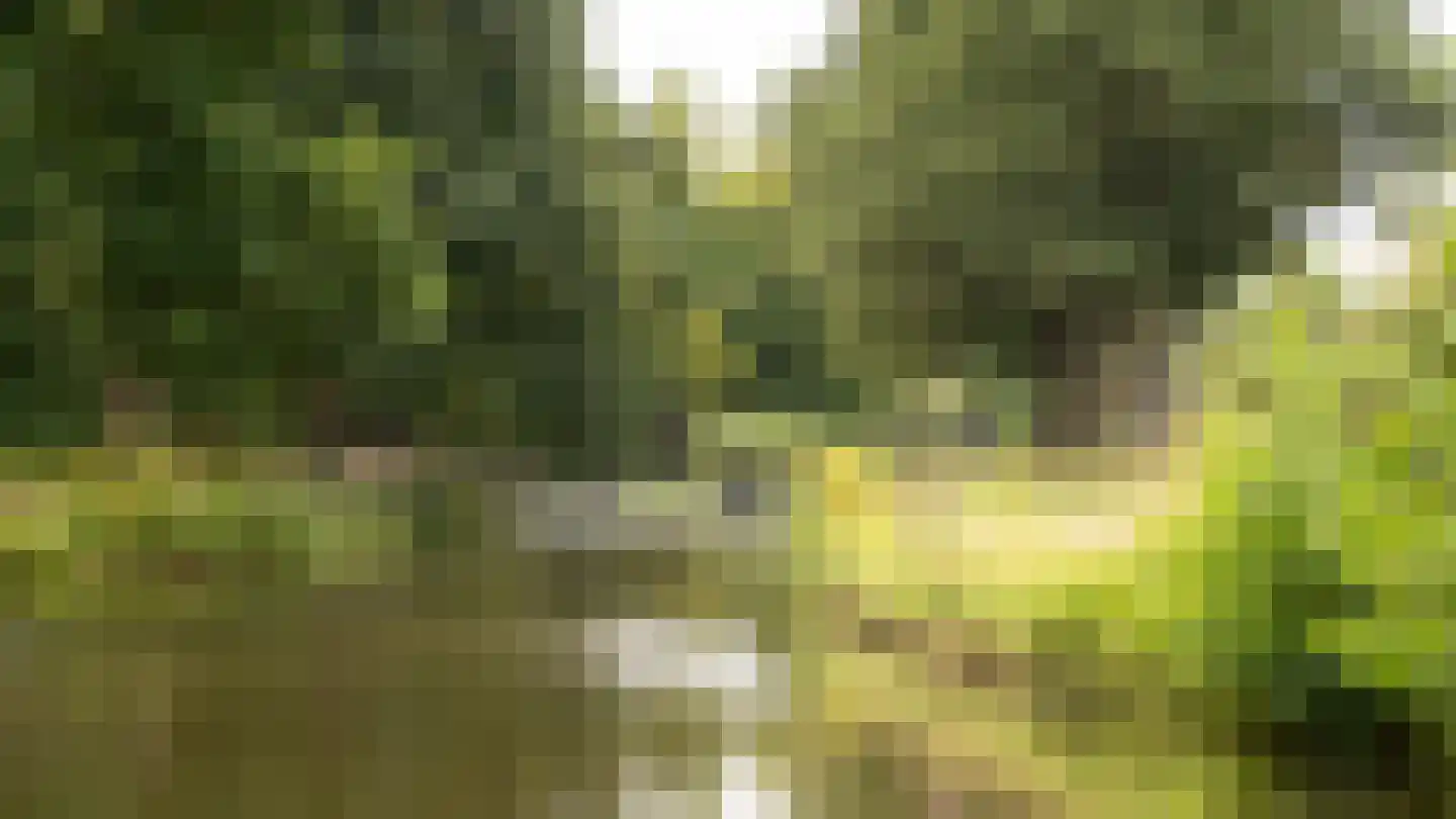 Bankrashof 124 Amstelveen thumbnail 45