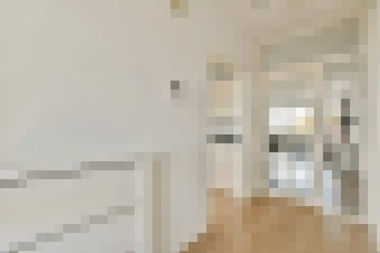 Bankrashof 126 Amstelveen thumbnail 30