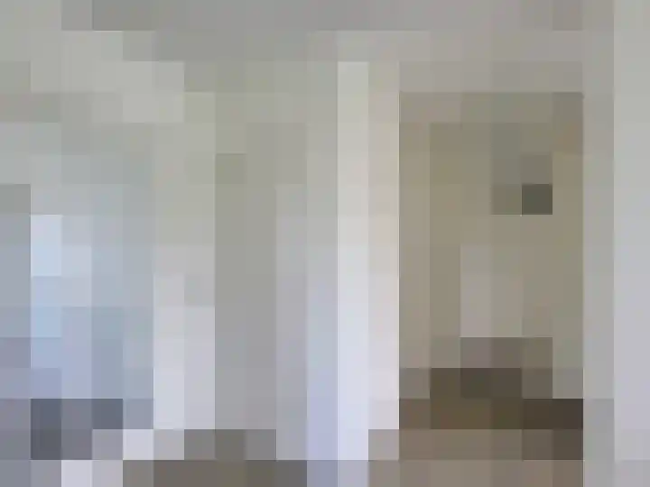 Bankrashof 131 Amstelveen thumbnail 10