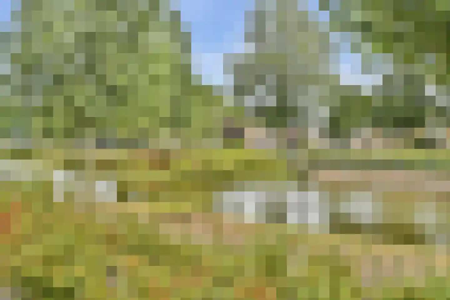 Bankrashof 82 Amstelveen thumbnail 24