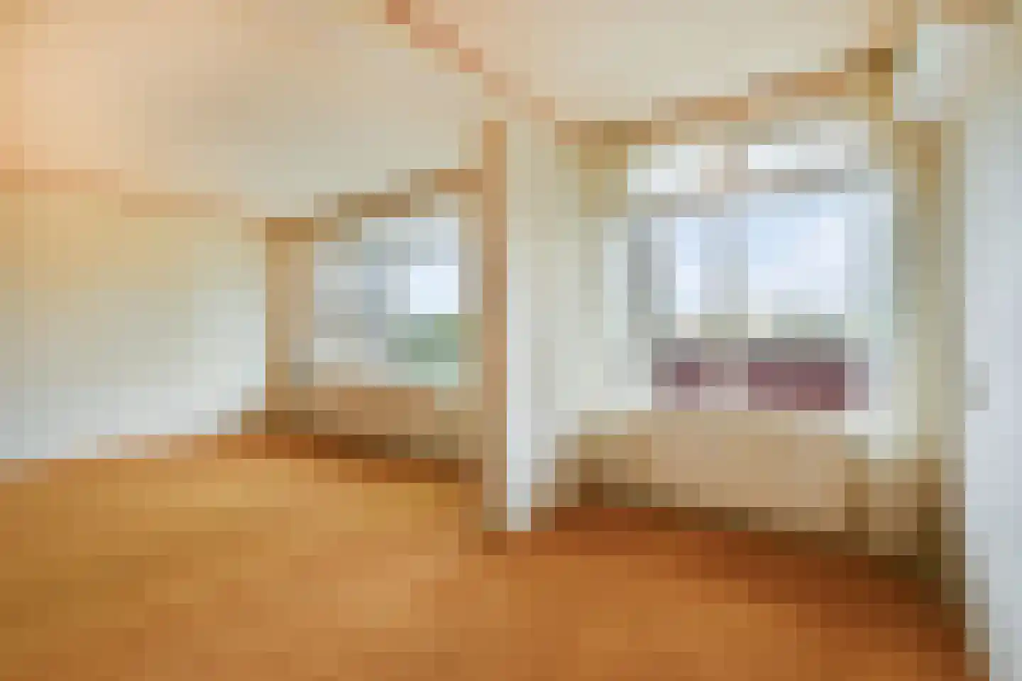 Bankrashof 82 Amstelveen thumbnail 7