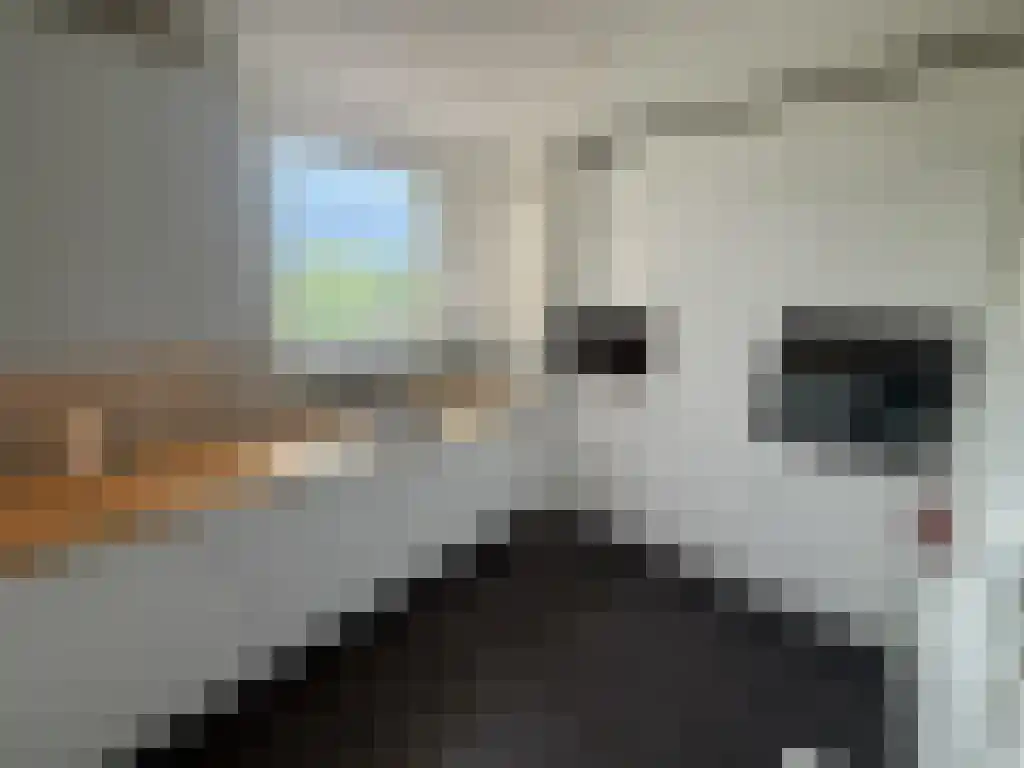 Bankrashof 83 Amstelveen thumbnail 6