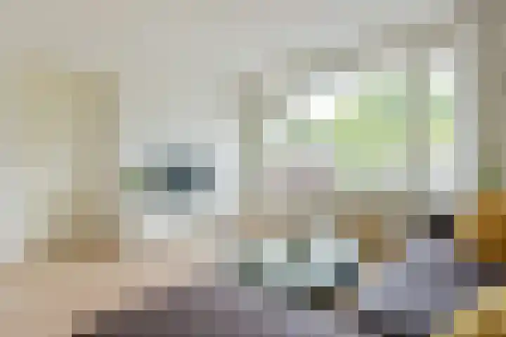 Bankrashof 85 Amstelveen thumbnail 10