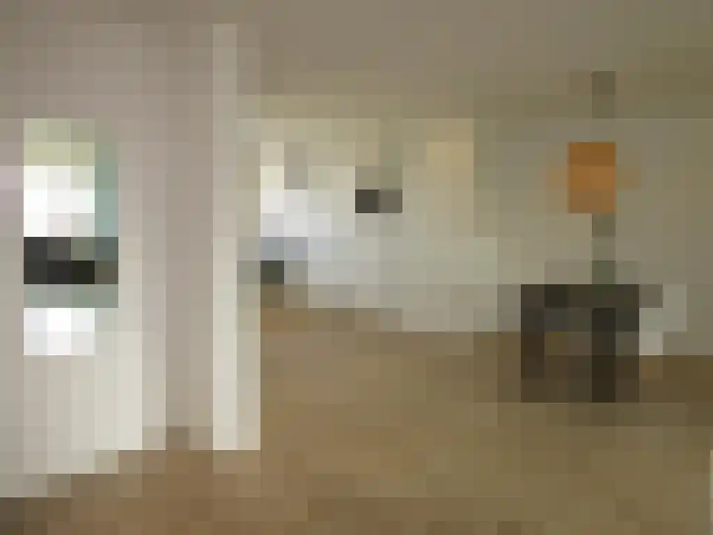 Bankrashof 88 Amstelveen thumbnail 6
